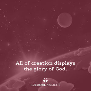 All of Creation Displays the Glory of God