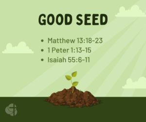 August 28, 2022 - Good Seed
