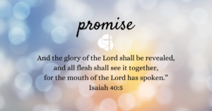 Sun: Dec 11, 2022 - Promised