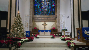 Christmas Poinsettias 2025